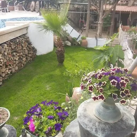 Karamese Tas Ev - Karamese Stone House Ferienhaus Selçuk