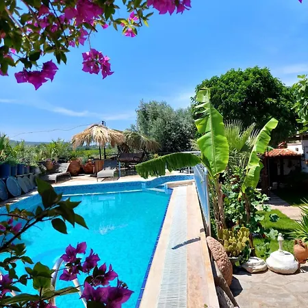 Ferienhaus Karamese Tas Ev - Karamese Stone House *