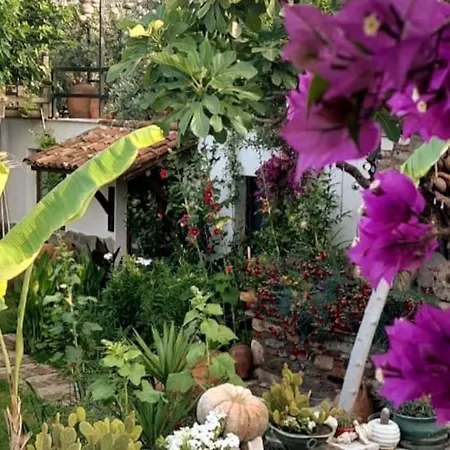 Karamese Tas Ev - Karamese Stone House 塞尔丘克